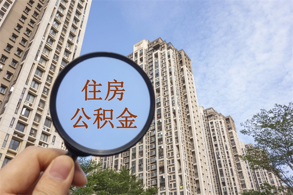 丰城个人公积金查询-泉州公积金代办服务